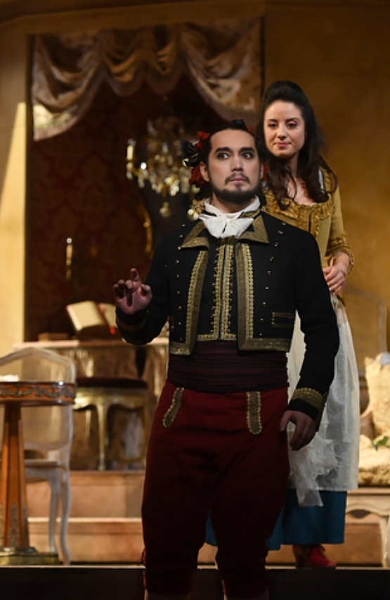 The marriage of Figaro
