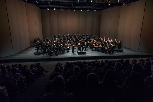 Montpellier Festival