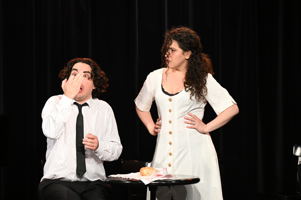 DER MUSIKKRITIKER LÄSST GRÜSSEN -- "Der Tod, das muss ein Wiener sein" im Renitenztheater Stuttgart